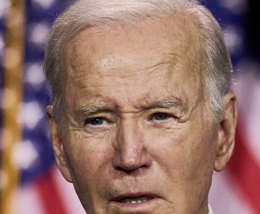 Stupidocrisy: Hiding in plain Sight - The Daily Jot