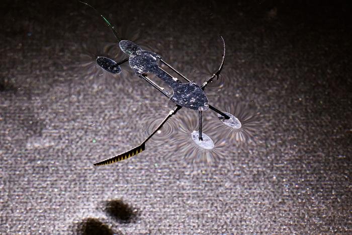Sci-Fi Nightmare? These Insect-inspired Micro-Robots are the Smallest, Lightest, and Fastest Ever Built - The Debrief