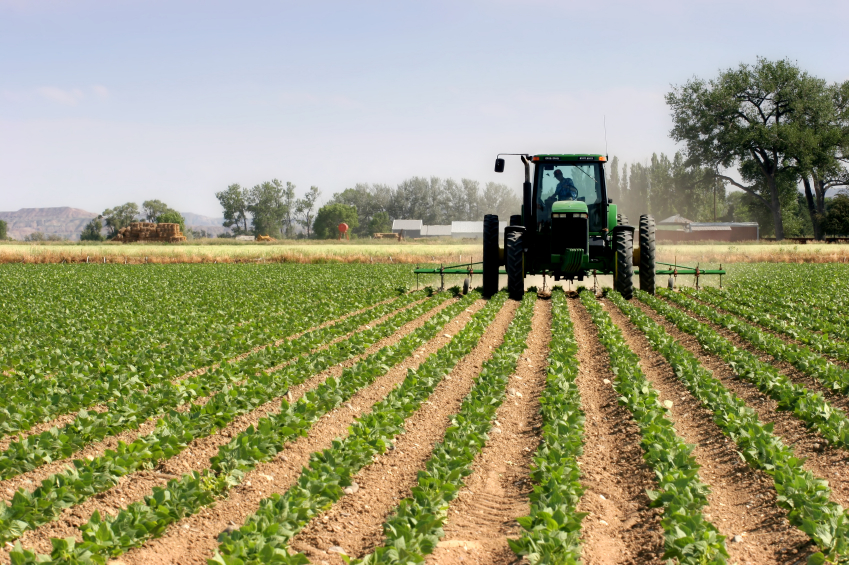 Farmer protests erupt across Europe over GREEN POLICIES that demand the obliteration of food production   – NaturalNews.com