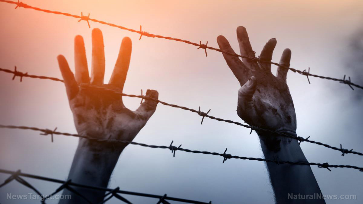 Cultural replacement: Why the immigration crisis is being deliberately engineered   – NaturalNews.com