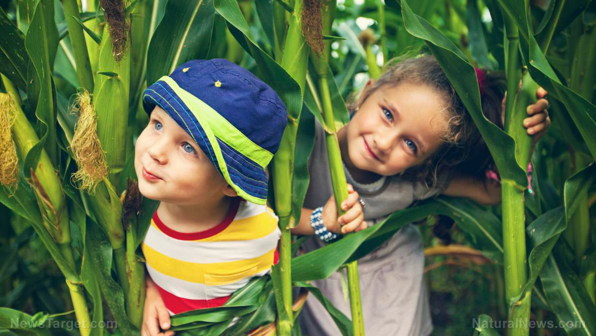 Children need to be allowed to play in the dirt to fully develop their immune systems, expert claims   – NaturalNews.com