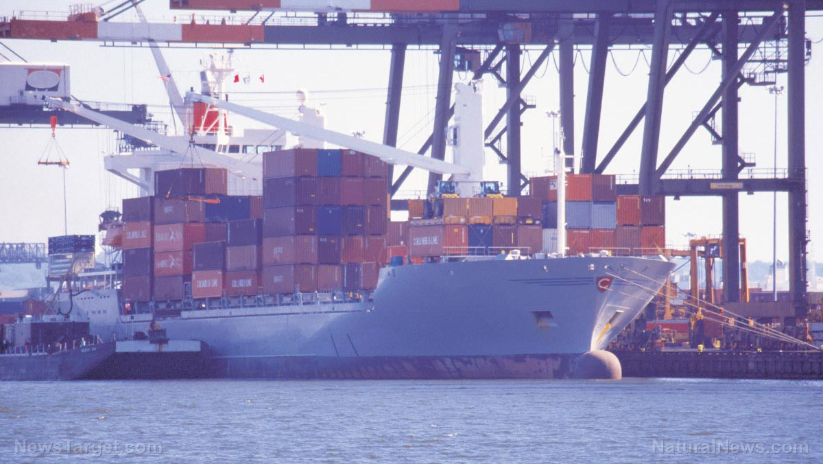 Red Sea Houthi attacks will disrupt global supply chains more than any pandemic, sending prices skyrocketing