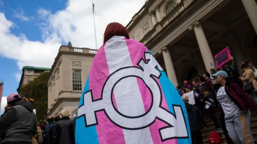 Medical Researchers Are Adding Penises To Female Dogs And Cadavers – Liberty One News
