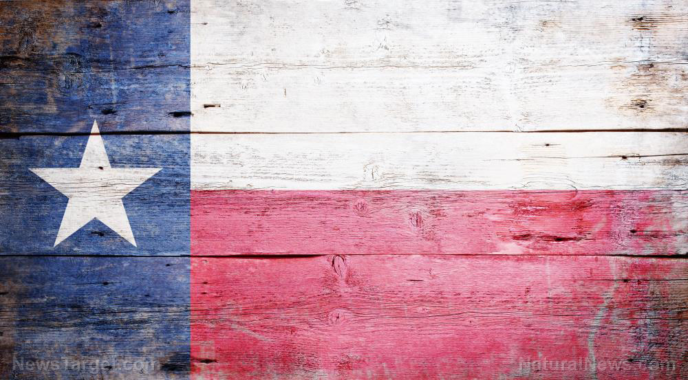 Constitutionally speaking, Texas is legally allowed to wage war against the federal government to protect itself from imminent, open-border invasions   – NaturalNews.com