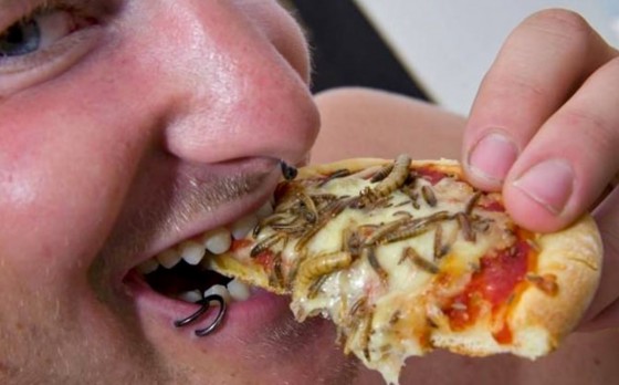 The "Nudge" To Eat Bugs - Crows Nest Politics