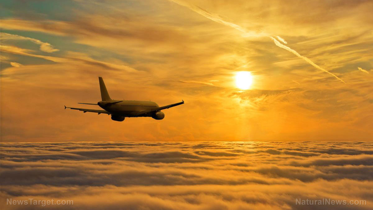 ANTI-WHITE FAA accused of giving black aviation students code words to put in their resumes to skip to the front of the hiring line   – NaturalNews.com