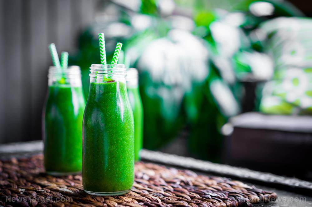 Battle of the greens: Which is healthier, kale or spinach?   – NaturalNews.com