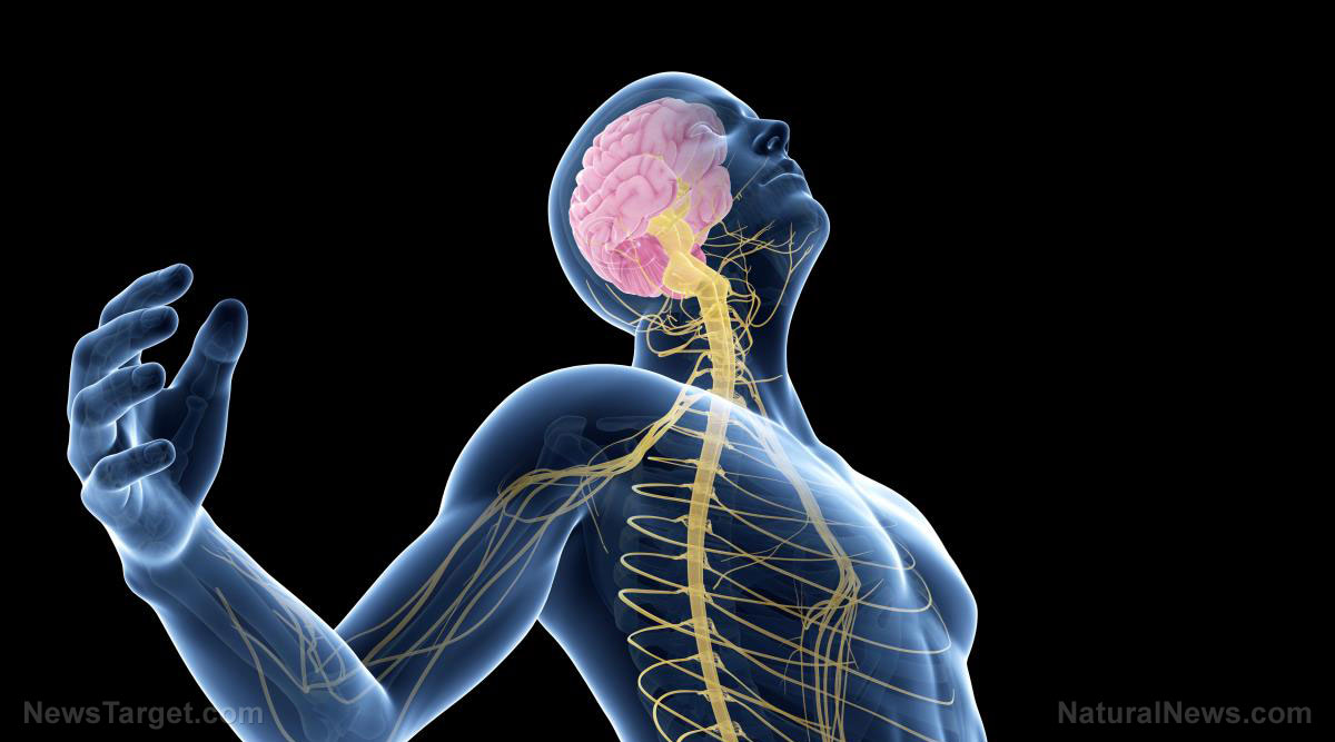 Non-invasive vagus nerve stimulation could help patients with condition linked to COVID-19 vaccines and infections   – NaturalNews.com