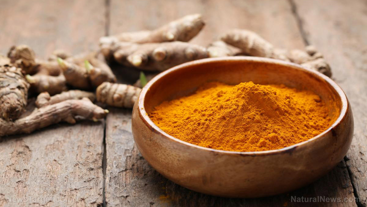 Curcumin in turmeric found to suppress cancer growth in clinical trials   – NaturalNews.com