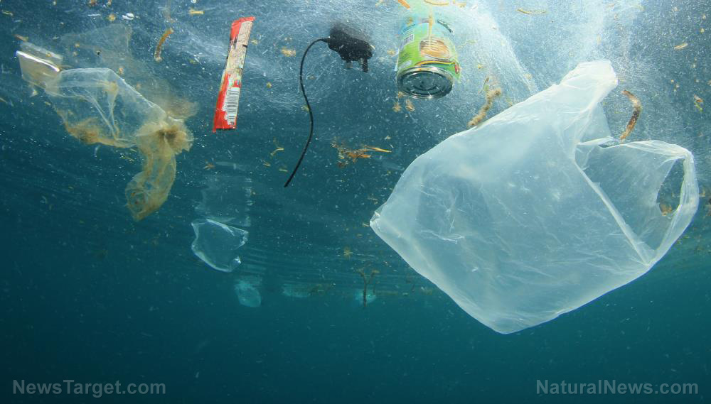 After admitting FAILURE of 2014 plastic bag ban, California legislators now want to ban all kinds of plastic shopping bags by 2026