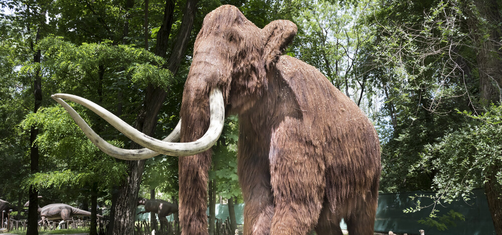 A Dangerous Game: Science Wants to Bring Back the Woolly Mammoth - The American Spectator | USA News and Politics