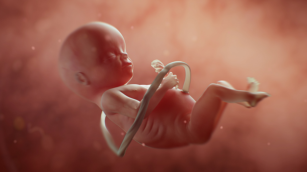 Arkansas pro-lifers mobilize to defeat radical pro-abortion constitutional amendment