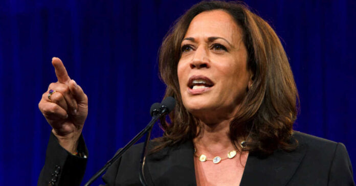 VP Harris Can’t Understand How To Read Gun Death Figures | Freedom Eagle Daily