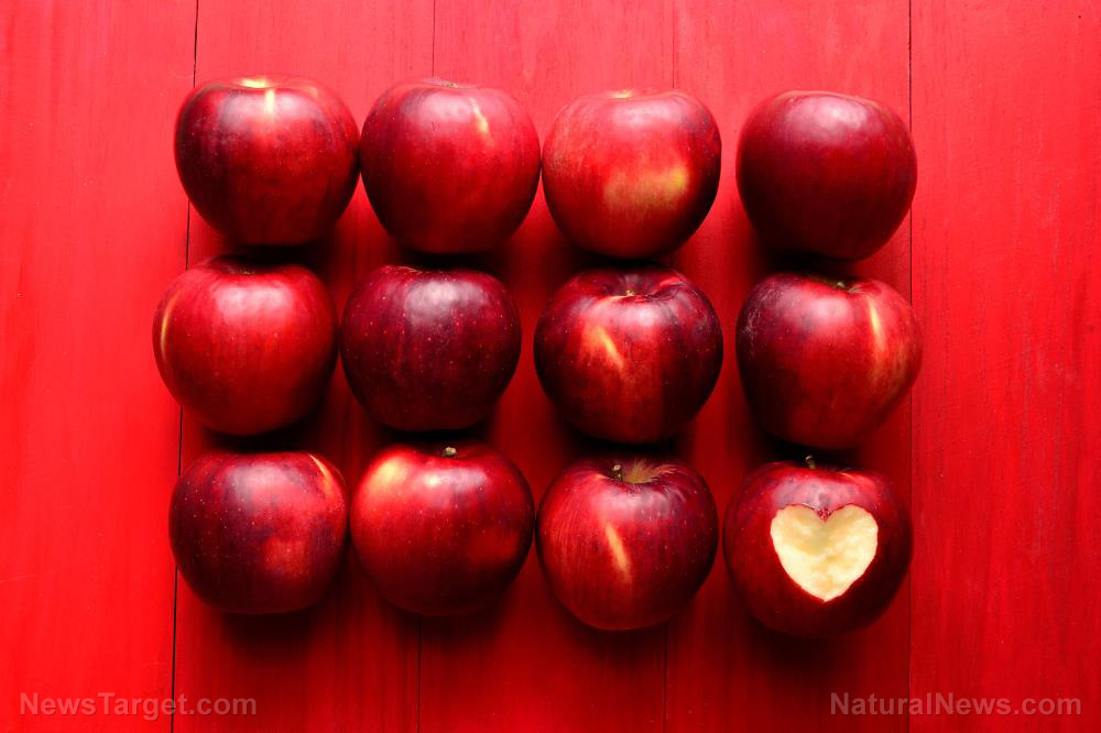Superfood recipes: Boost your fiber intake with this apple pie smoothie   – NaturalNews.com