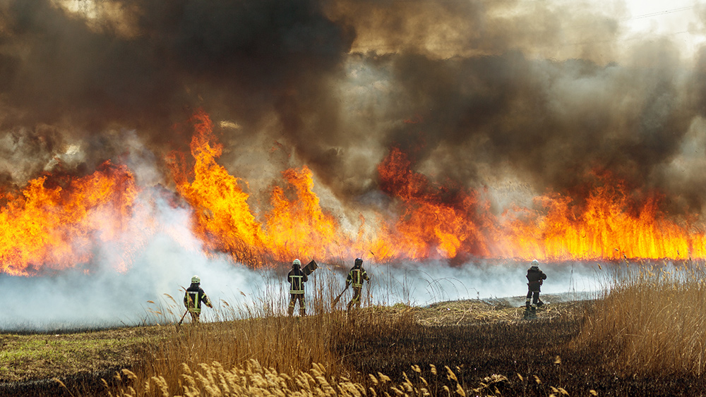 Chile burned to the ground: “It’s Maui all over again!”   – NaturalNews.com
