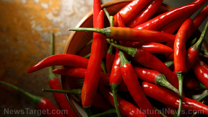 How chili peppers can slow down the progression of lung cancer   – NaturalNews.com