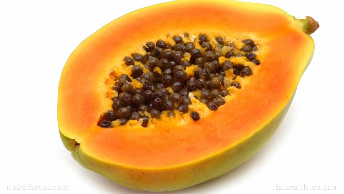 Don’t be so quick to throw away papaya seeds – they offer a surprising number of health benefits   – NaturalNews.com