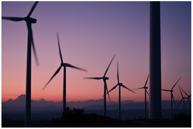 Confessions of Former Environmentalist: Five Reasons He Gave Up on ‘Green’ Policies – Striker Journal