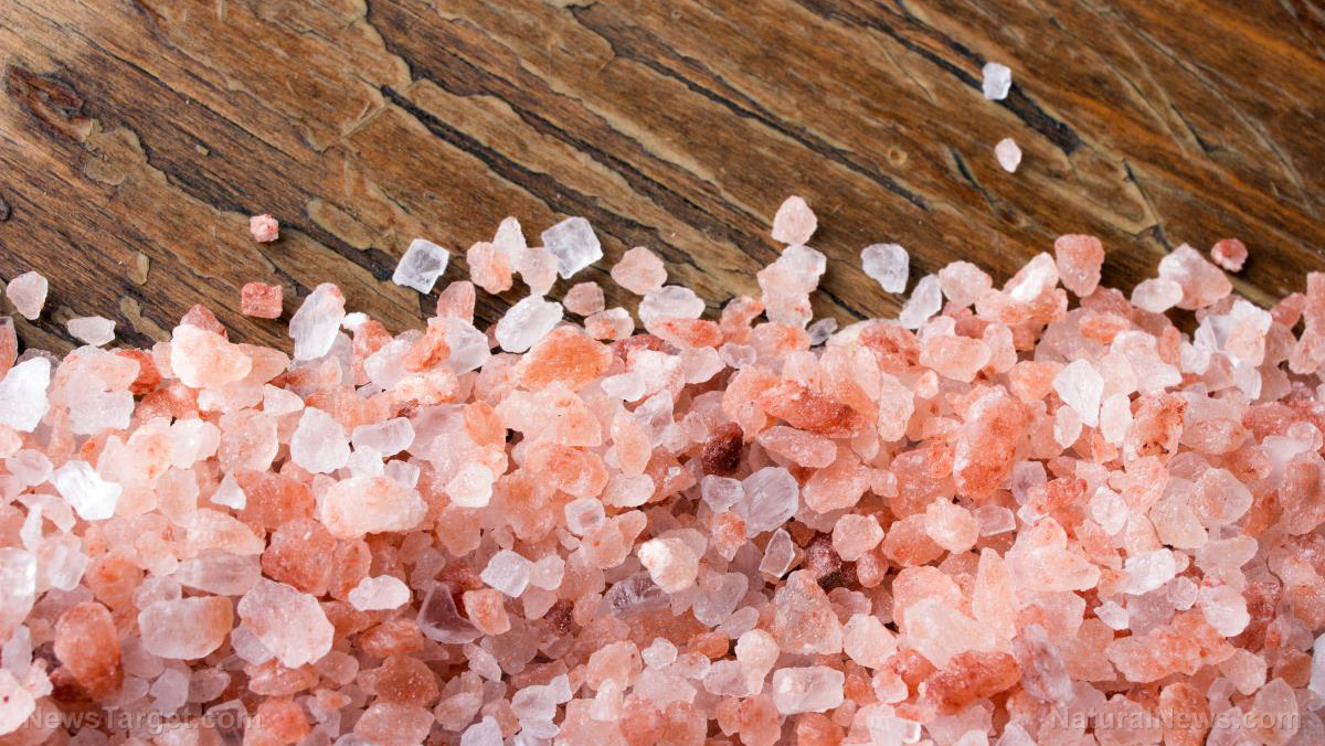 Not all salts are equal: 20 Ways to use Himalayan salt – the purest salt on Earth   – NaturalNews.com
