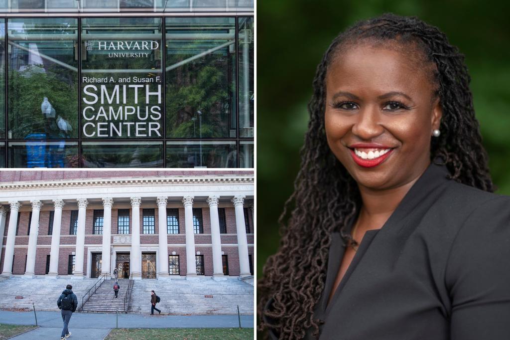 Harvard's chief diversity officer Sherri Ann Charleston accused of plagiarism: report
