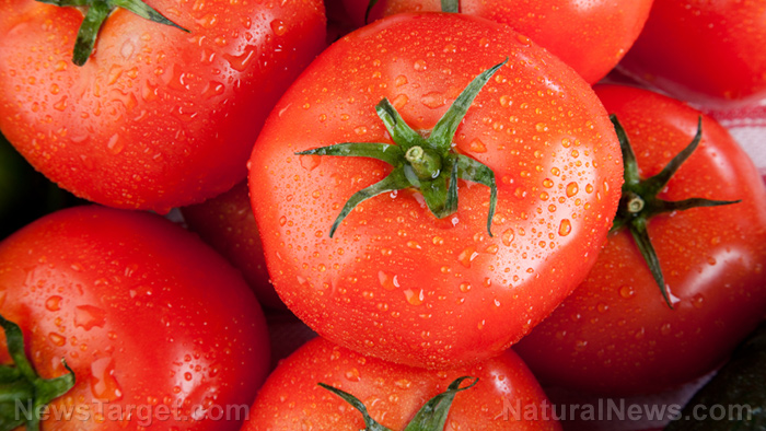 Lycopene found to inhibit pathway involved in Helicobacter pylori-induced gastric cancer   – NaturalNews.com