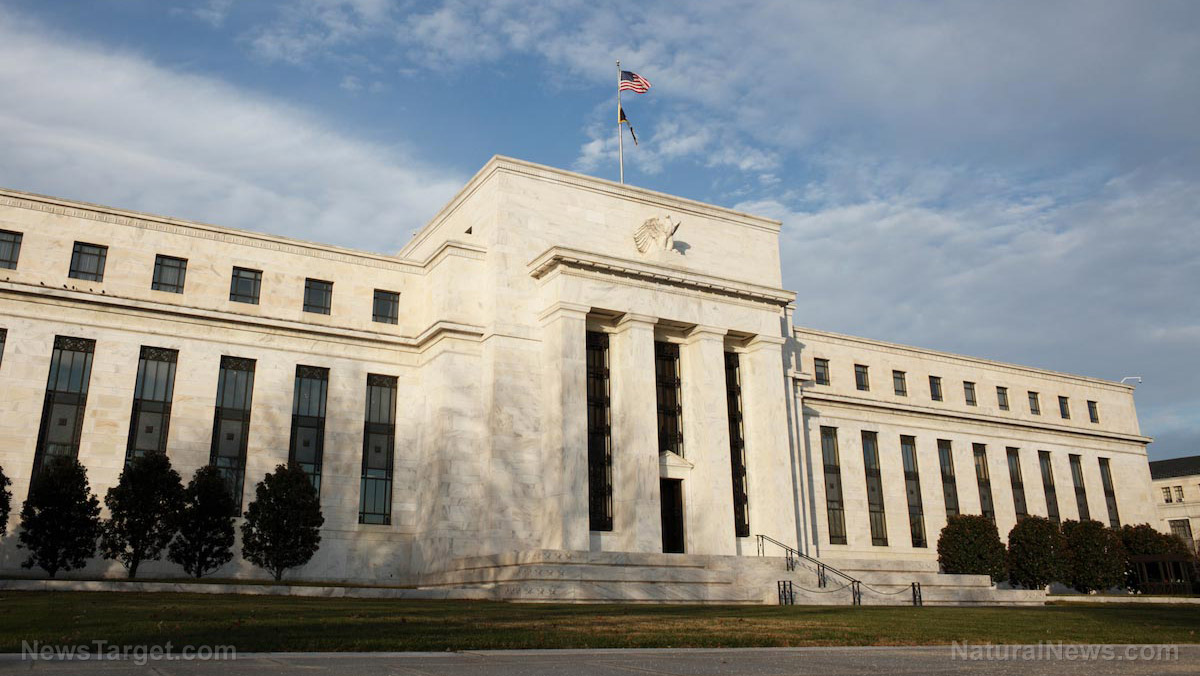 David Webb: Central banks and the people controlling them are the REAL POWER behind everything