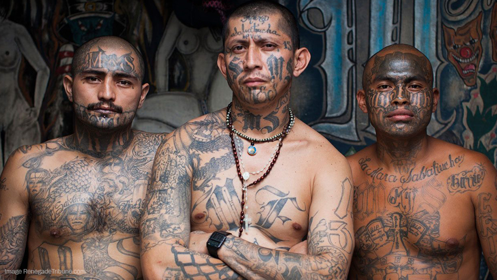 MS-13 and Venezuelan Tren de Aragua gangs could form ALLIANCE, warns FBI agent   – NaturalNews.com