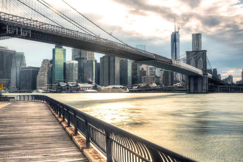 NYC out of control – giant short!   – NaturalNews.com