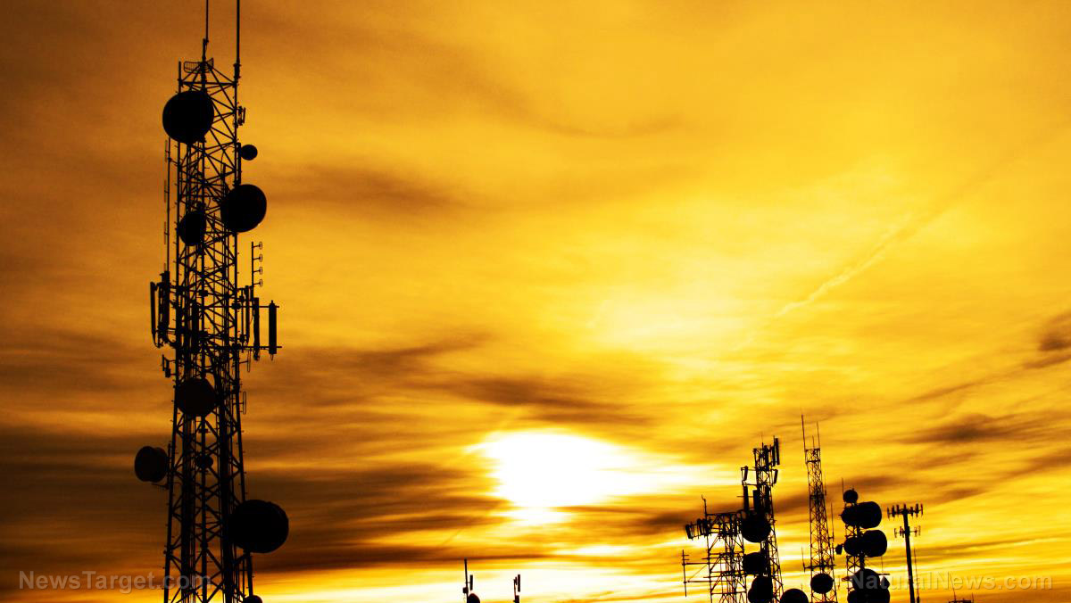 TOWER HEIST: Alabama station’s 200-foot radio tower goes missing