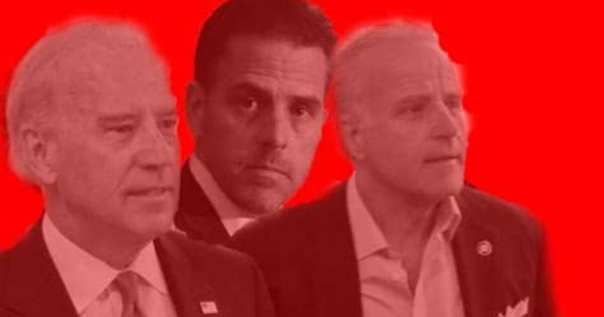 James Biden Admits Brother, Joe Biden Received $40,000 From China – Daily Presser