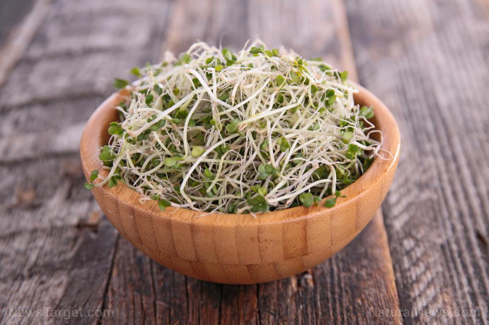 Sprouts: Your perfect emergency preparedness food choice   – NaturalNews.com