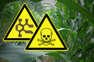 70% of pregnant women in Indiana have herbicide linked to cancer in their urine   – NaturalNews.com