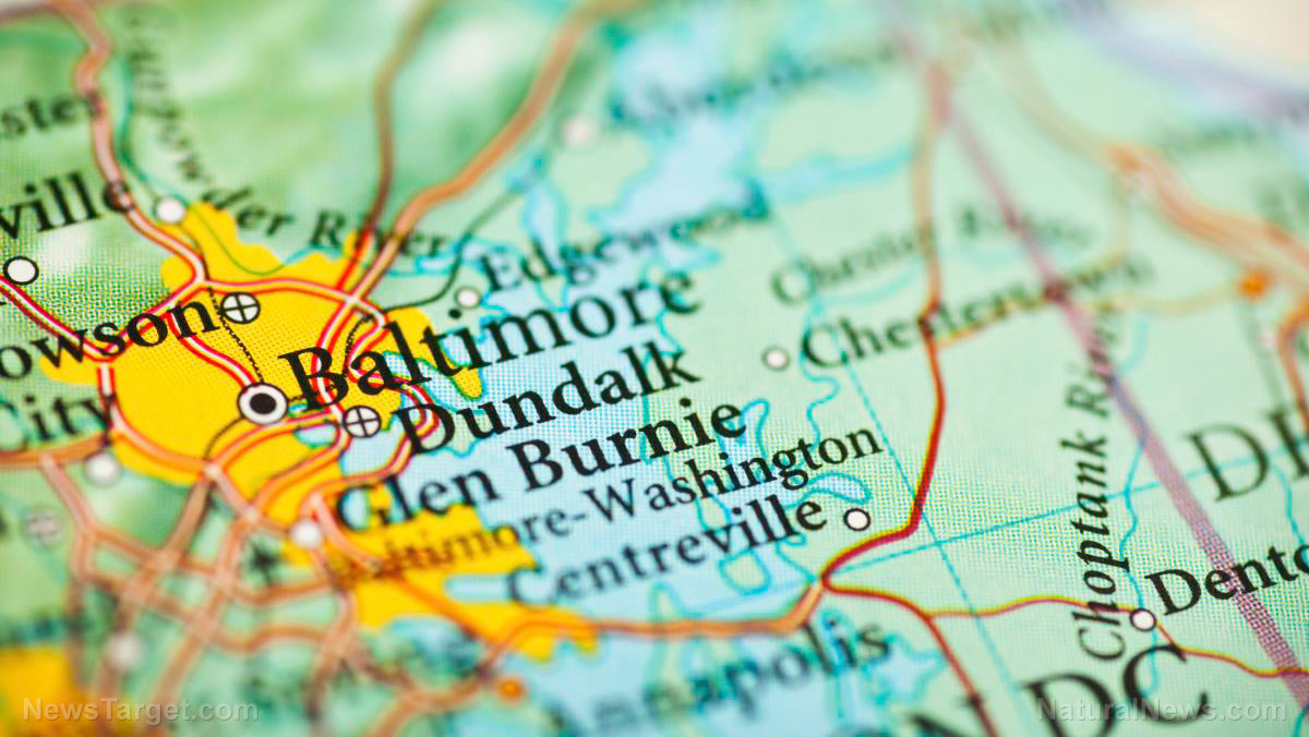 Baltimore bridge collapse due to ship strike will have sweeping economic repercussions