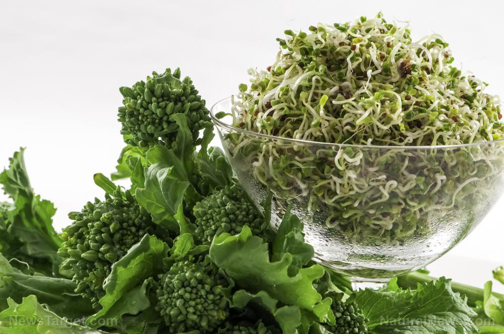 Cancer prevention: 6 Ways nature helps you fight cancer   – NaturalNews.com
