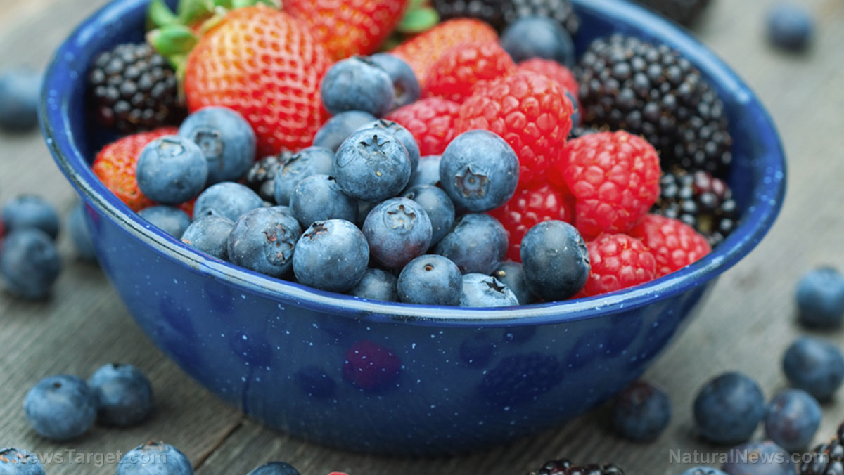 Dive into the world of berry foraging: Unravel the secrets to spotting and gathering Mother Nature’s sweet treasures   – NaturalNews.com