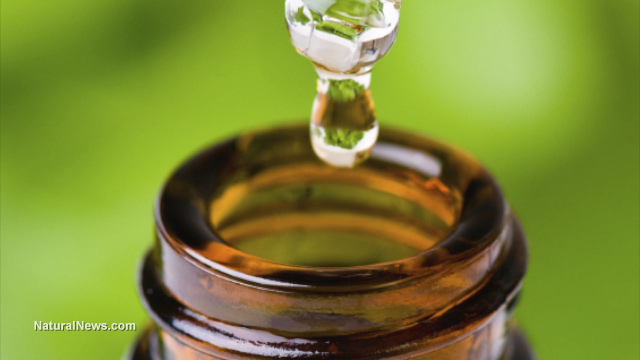 Stevia is a natural anti-inflammatory and anti-cancer agent - NaturalNews.com
