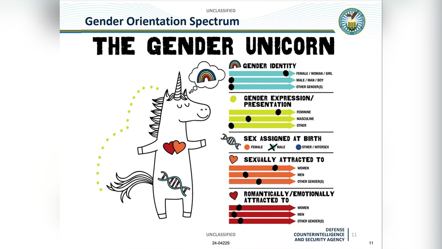 Intel agency DEI training features the 'gender unicorn' and 'transgender terminology' - Disclose.tv