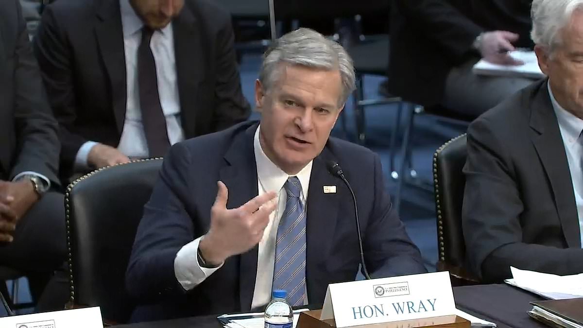 FBI Director Wray says he IS concerned border crossers could launch another 9/11 terror attack in the U.S. and warns human trafficking cells have ties to ISIS | Daily Mail Online