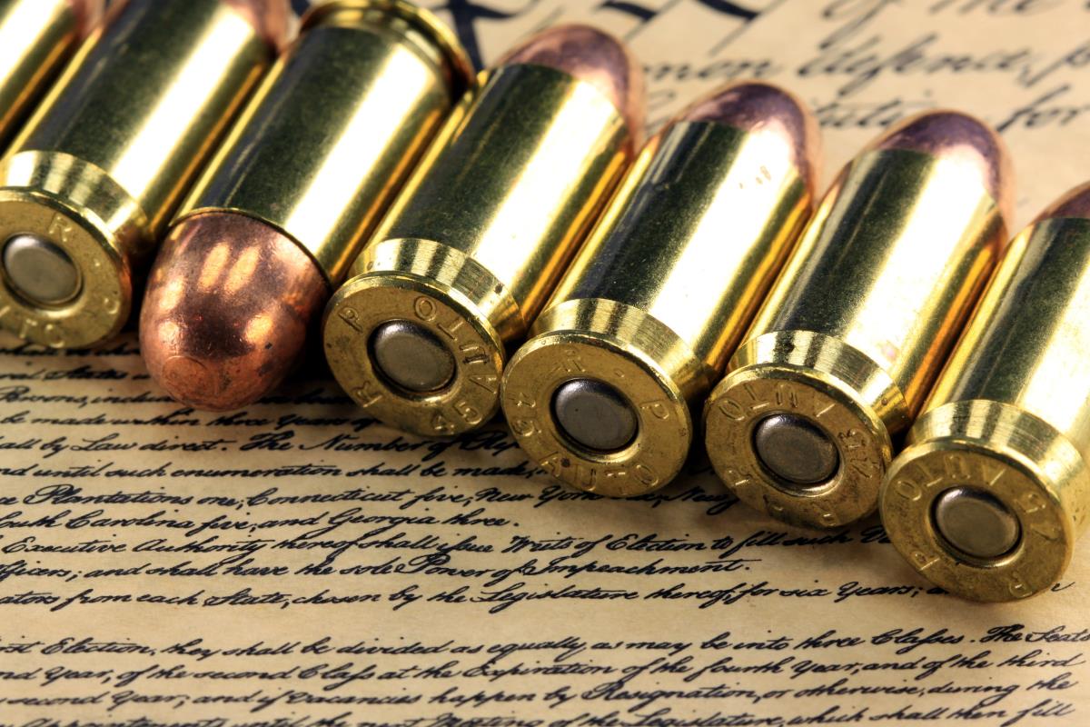 He’s coming for your guns: Biden launches centralized “red flag” hub to target “threatening” firearms owners   – NaturalNews.com