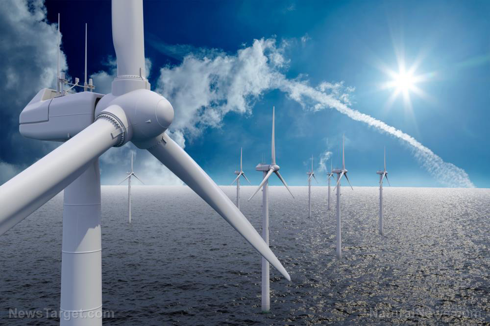 Noise pollution from offshore wind turbines could lead to the EXTINCTION OF WHALES   – NaturalNews.com