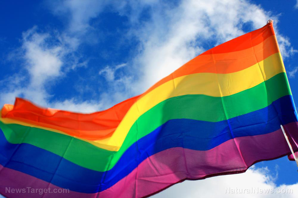 Tennessee House of Representatives passes bill banning LGBT pride flags in public schools   – NaturalNews.com