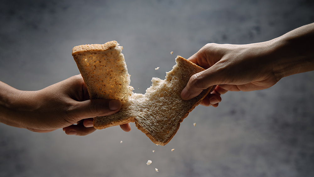 After shutting down thousands of farms, European governments are warning about a future food crisis as food insecurity worsens