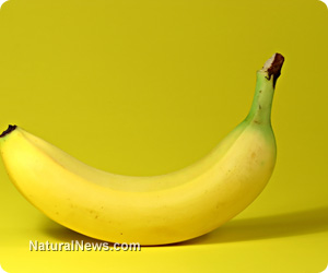 Banana power: Ten perks of nature's panacea - NaturalNews.com