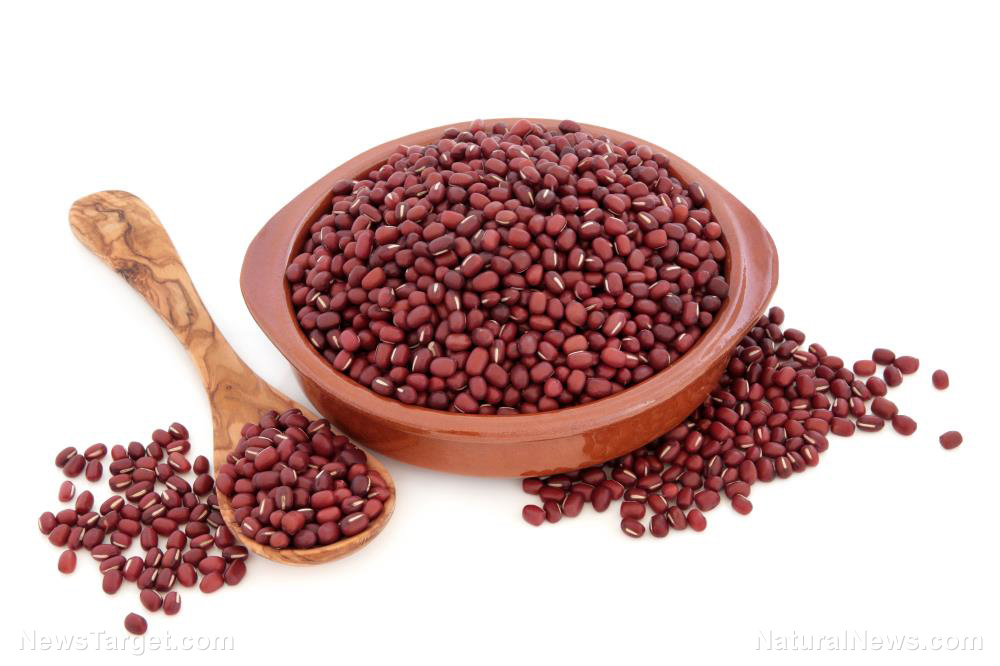 Adzuki beans, one of the more popular legumes in East Asia, has been studied to have potent antioxidant and anti-inflammatory effects   – NaturalNews.com