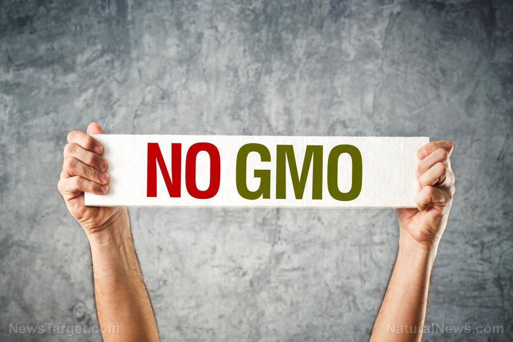 Sneaky QR code labeling HIDES GMOs in food   – NaturalNews.com