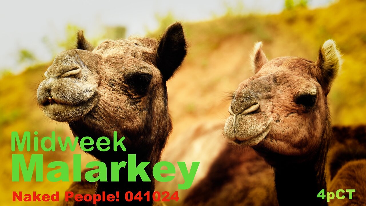 Naked People! Midweek Malarkey 041024