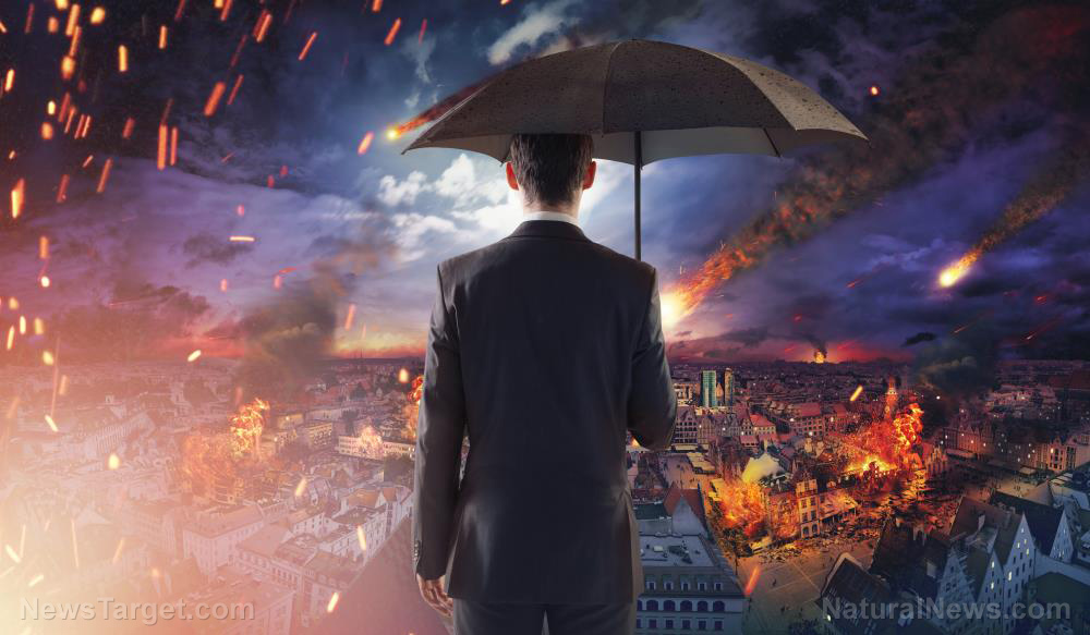 A MASSIVE financial collapse is coming that will destroy everyone’s assets, warns Paul Craig Roberts   – NaturalNews.com