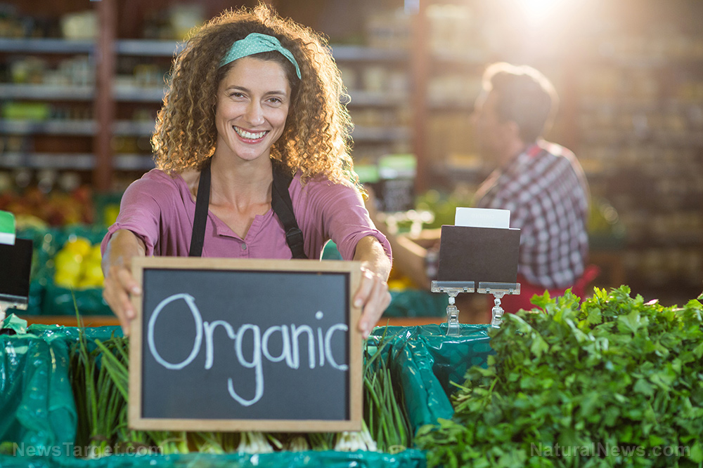 The TOTAL COST of being SICK from conventional food vs. the “higher” price of organic food that yields much better health and immunity   – NaturalNews.com