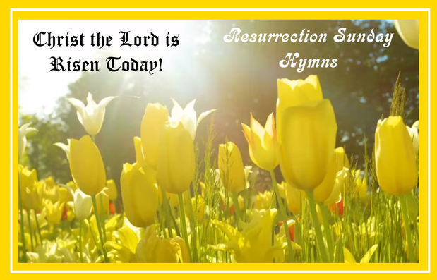 JESUS, OUR BLESSED HOPE - Blog