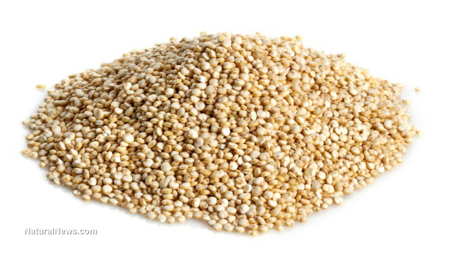 Quinoa's many health benefits - NaturalNews.com